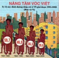 Tỷ lệ dinh dưởng thấp còi ở Việt Nam giai đoạn 1995 - 2000