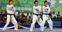 Taekwondo VN đặt mục tiêu giành HCV tại ASIAD 2014